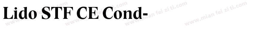 Lido STF CE Cond字体转换